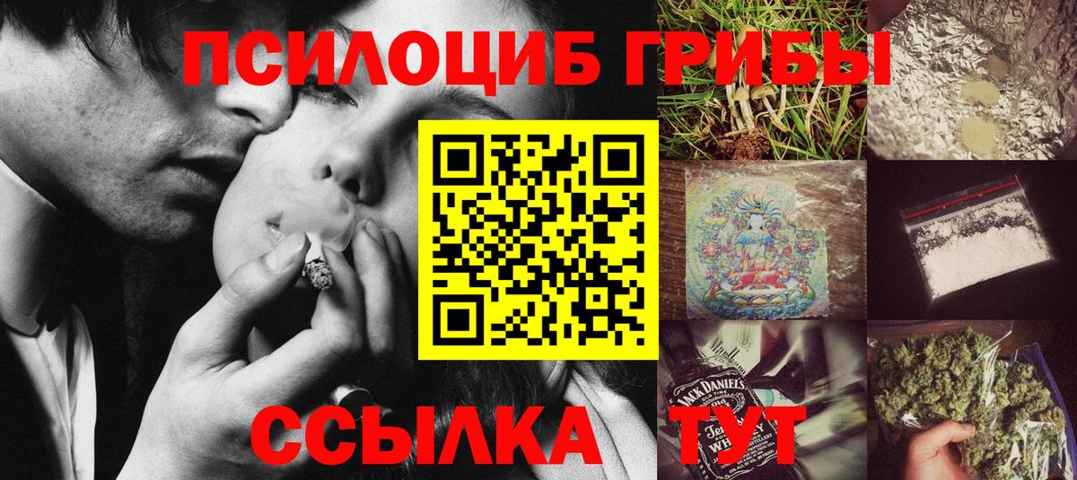 Зеленокумск  Псилоцибиновые грибы мицелий  Вход с VPN  Галлюциногенные грибы Cubensis 