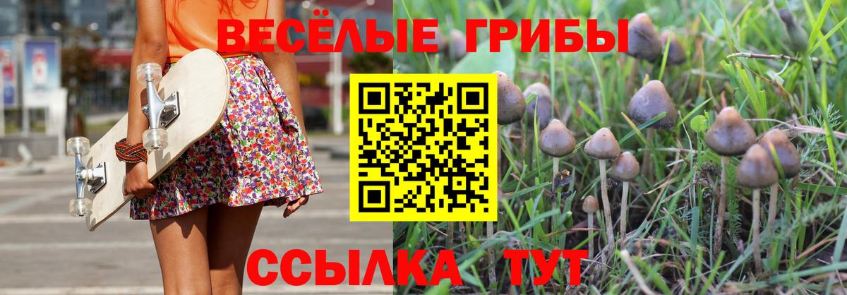 Галлюциногенные грибы Cubensis Зеленокумск